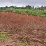 Bán đất 150m² F0 Mê Linh Nam Ban 450 triệu - Ảnh thu nhỏ 3