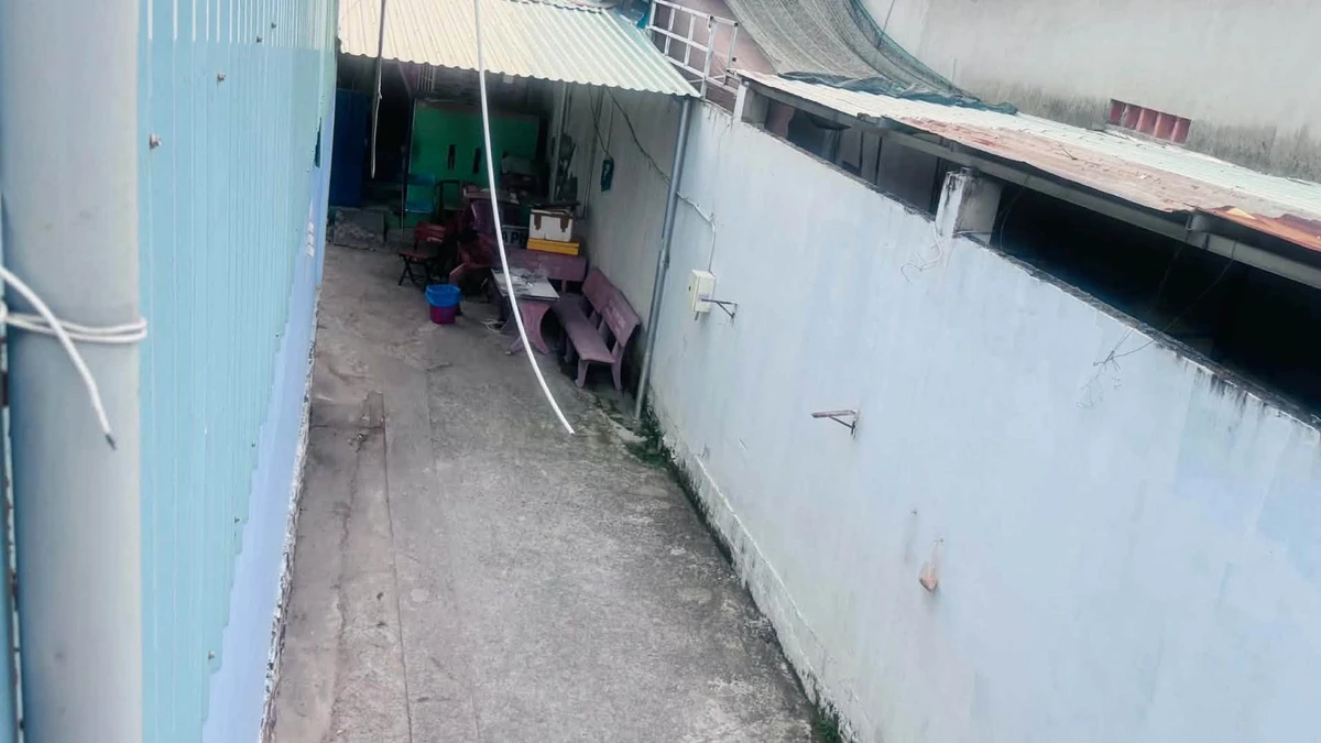 Bán shophouse mặt tiền chợ Hóc Môn 130m² 4.7 tỷ - Ảnh thu nhỏ 2