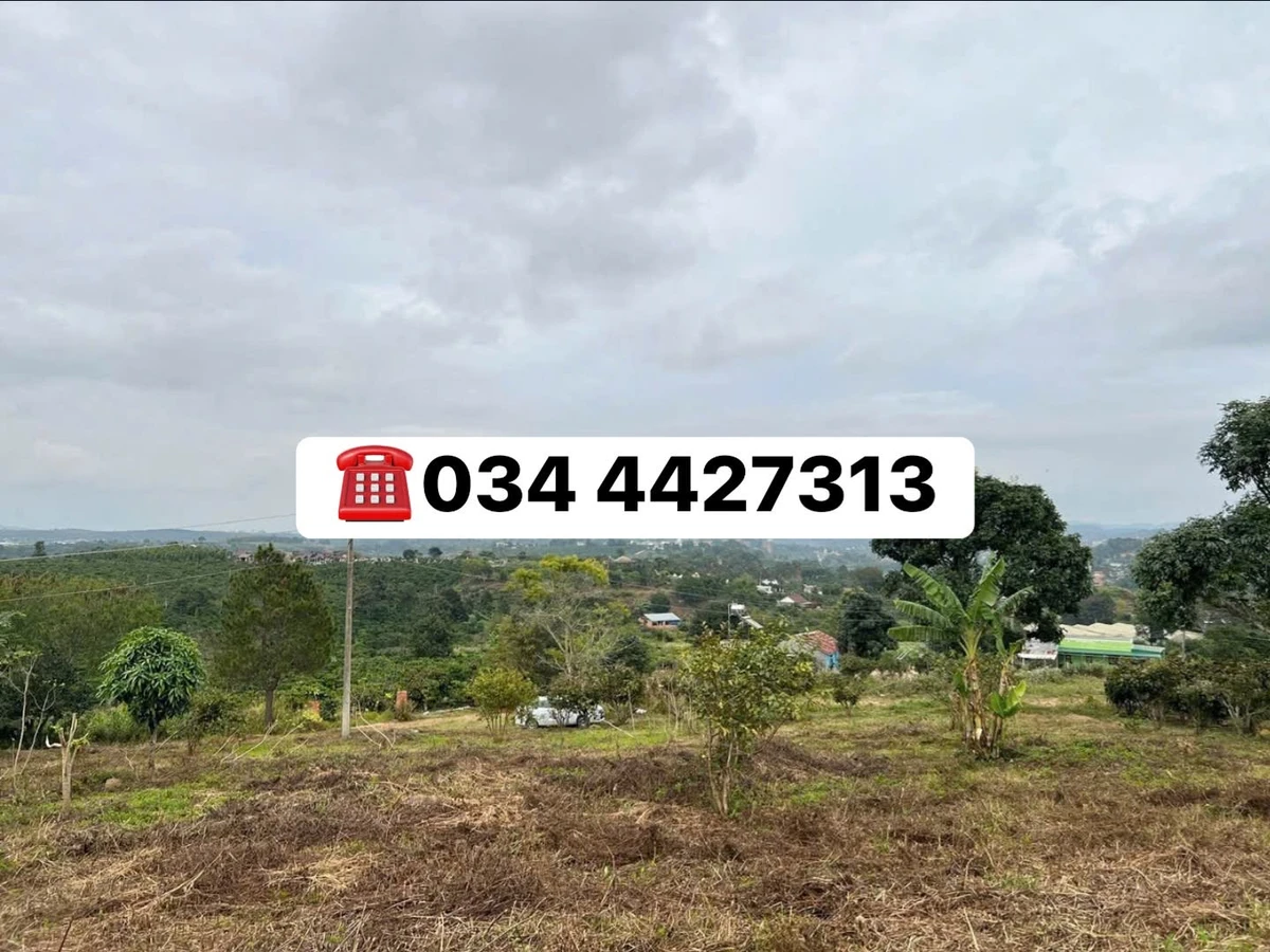 Bán đất Ninh Gia Lâm Đồng 3.162m² view đồi, 2 tỷ 868 triệu - Ảnh thu nhỏ 3