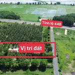 Bán đất 1585m2 gần biển Phước Hải Bà Rịa - Vũng Tàu - Ảnh thu nhỏ 4