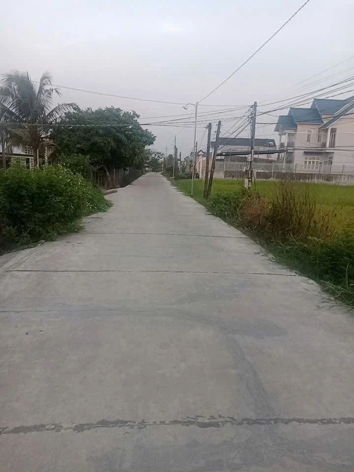 Bán đất Đức Hòa Long An 1280m² sổ hồng riêng 5.5 tỷ - Ảnh thu nhỏ 2