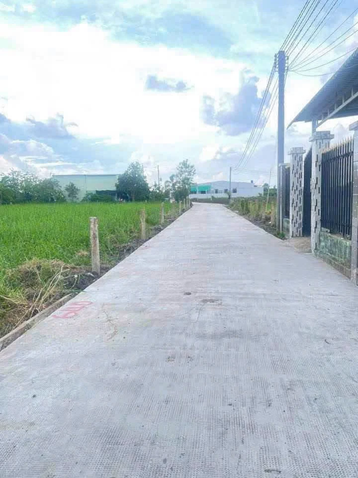 Bán 299m² đất tại Phú Ngãi Trị, Long An 630 triệu - Ảnh 1