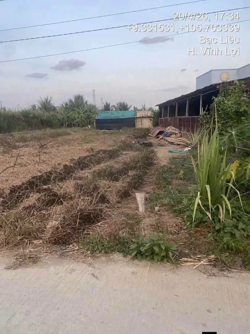 Bán nền đất Trà Khứa Vĩnh Lợi Bạc Liêu 254.5m2 giá 390 triệu - Ảnh thu nhỏ 2