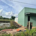 Bán lô đất vườn Phú An 1.156m2, giá 2 tỷ - Ảnh thu nhỏ 5