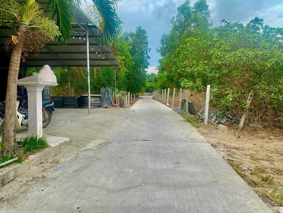 Bán đất 10x29m (292m²) Cam Bình LaGi Bình Thuận, gần biển, 1,6 tỷ - Ảnh thu nhỏ 4