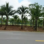 Bán đất mặt tiền Tỉnh Lộ 997, 720m2, gần biển Lộc An - Ảnh thu nhỏ 1