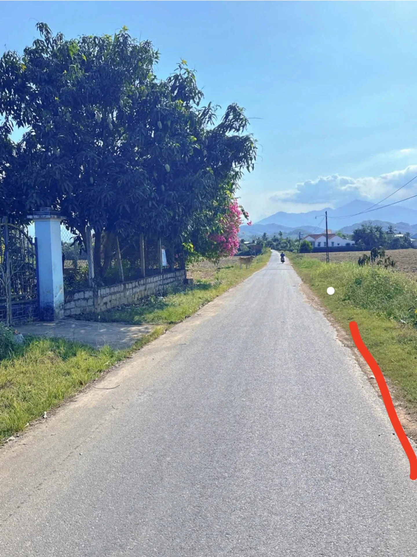 Bán lô đất Diên Xuân 776m² mặt tiền đường nhựa - Ảnh 1