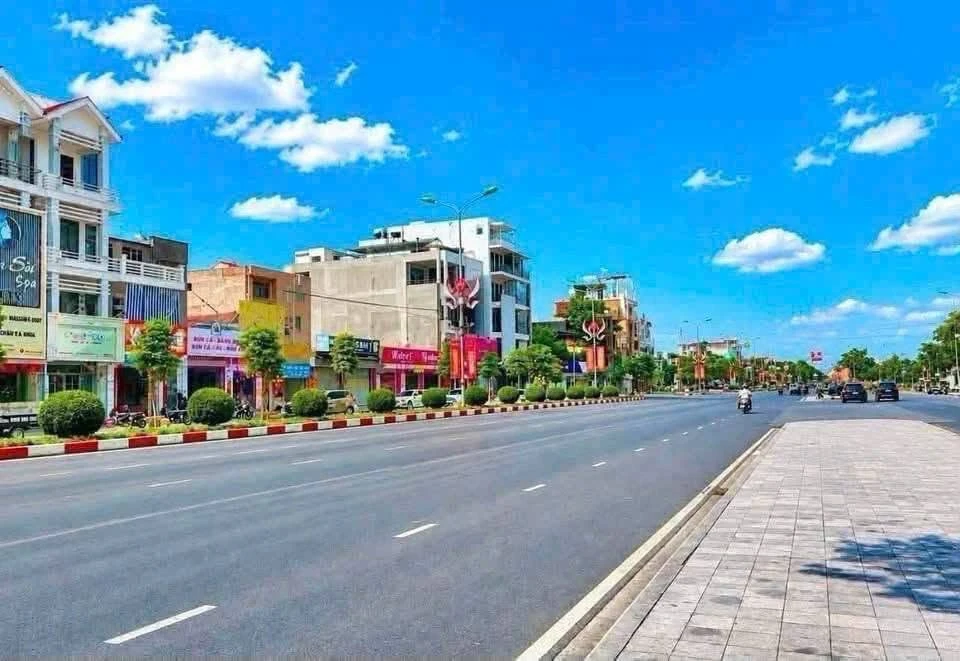 Bán đất mặt đường Thanh Niên, Hải Dương, 80m2 - Ảnh 1