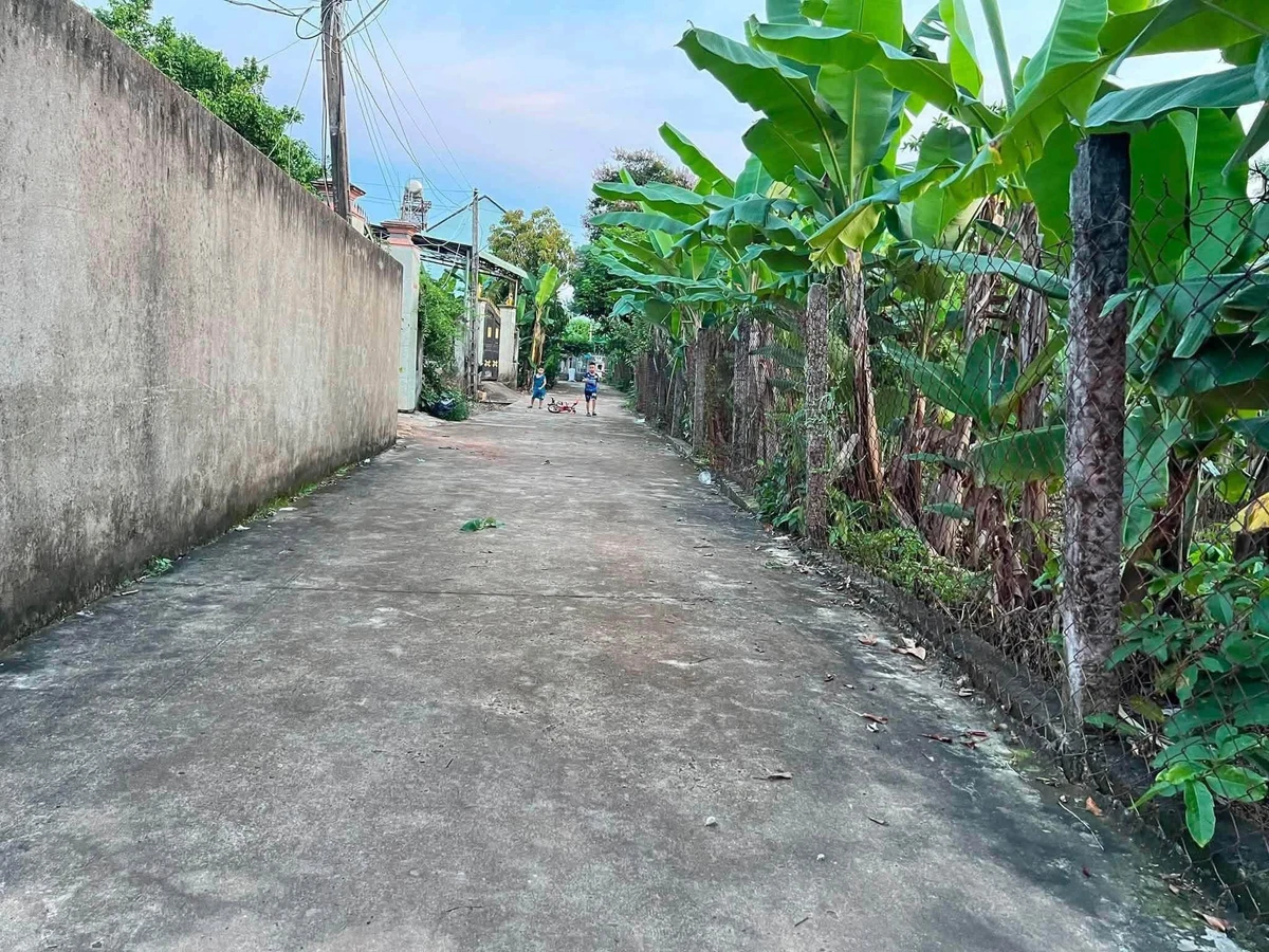 Bán đất hẻm Tân Xuân 3600m² Quận 12 - Ảnh thu nhỏ 3