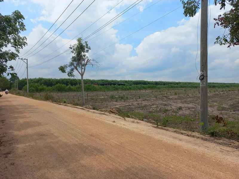 Bán 2ha đất nền Trà Tân, Lâm Đồng, giáp Đồng Nai