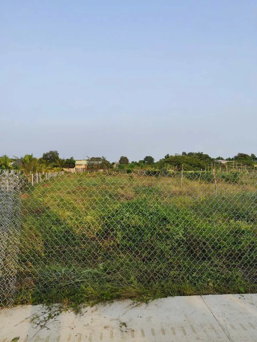 Bán lô đất vườn 1400m² Xã Bình Chánh, 5.2 tỷ - Ảnh thu nhỏ 2