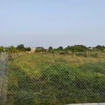 Bán lô đất vườn 1400m² Xã Bình Chánh, 5.2 tỷ - Ảnh thu nhỏ 2