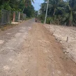 Bán đất 250m² đường nhựa Tây Ninh 420 triệu - Ảnh thu nhỏ 1