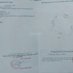 Bán đất chính chủ đang trồng chanh xuất khẩu Ia Grai, Gia Lai - Ảnh thu nhỏ 3
