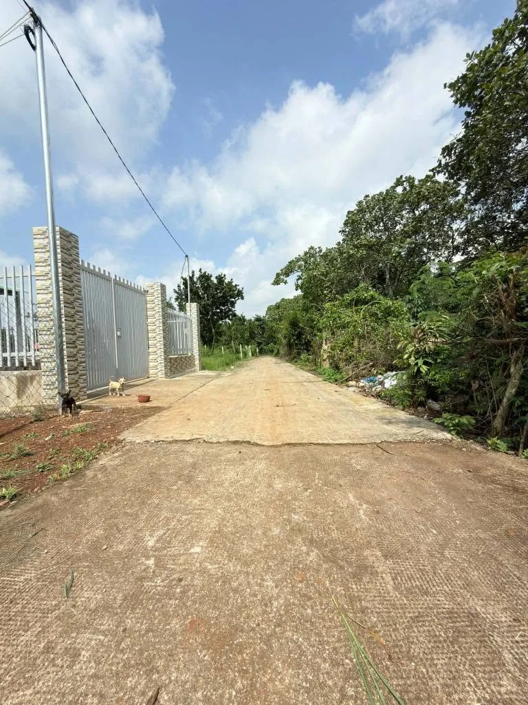 Bán đất vườn 500m² Bảo Vinh, Đồng Nai, 1 tỷ 090 triệu - Ảnh thu nhỏ 2