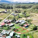 Bán 2 nền đất nền Măng Đen Kon Tum, hơn 100m², 400 triệu - Ảnh thu nhỏ 5