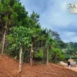 Bán 2 lô đất liền kề ven Đà Lạt, đường ô tô, Diện tích 368371m², sổ hồng riêng - Ảnh thu nhỏ 9