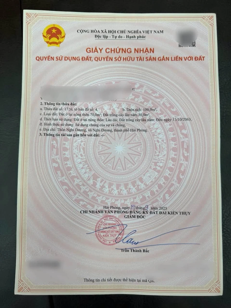 Bán lô đất góc 2 mặt ngõ 100m2, Hải Phòng - Ảnh thu nhỏ 2