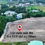 Bán đất vườn 574m2 giá 280 triệu Phan Tây Ninh - Ảnh thu nhỏ 2