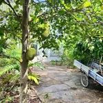 Bán nhà vườn mặt tiền Quản Lộ Phụng Hiệp, Cà Mau 837m² - Ảnh thu nhỏ 3