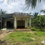 Bán nhà và đất 1000m² giá 750 triệu Tân Thạch - Ảnh thu nhỏ 2