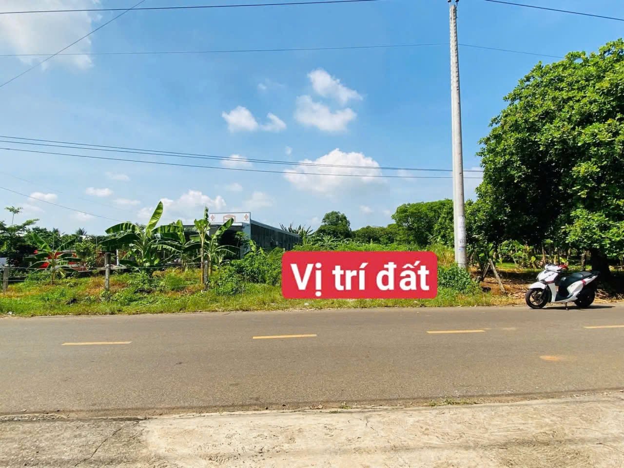 Bán lô đất 854m2 mặt tiền Đoàn Trung Còn, Đất Đỏ