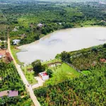 Bán đất sào view hồ Eaning, diện tích 3.400m², giá 4,9 tỷ tại Cư Kuin, Đắk Lắk - Ảnh thu nhỏ 3
