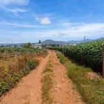 Bán 4.5 sào đất vườn Đức Trọng, Lâm Đồng, 90m mặt tiền, 5 tỷ - Ảnh thu nhỏ 2