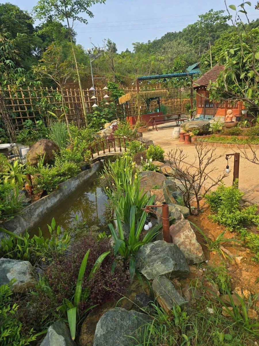 Bán nhà vườn 2600m² Ba Vì Hà Nội, giá hơn 4 tỷ - Ảnh thu nhỏ 4