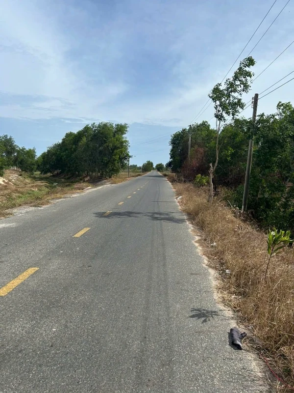 Bán đất Lagi, Bình Thuận, 500m², đường Lê Quang Định 2.5 tỷ