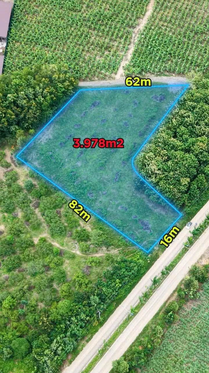 Bán đất 2 mặt tiền 4000m² gần KCN Hòa Phú, Đắk Lắk giá 1,75 tỷ - Ảnh 1
