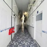 Bán dãy trọ 11 phòng 250m2 Hoàng Quốc Việt Cần Thơ 6.8 tỷ - Ảnh thu nhỏ 3