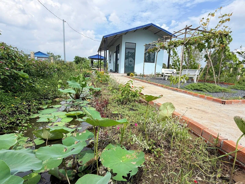 Bán nhà vườn 540m² giá 950 triệu Thủ Thừa, Long An