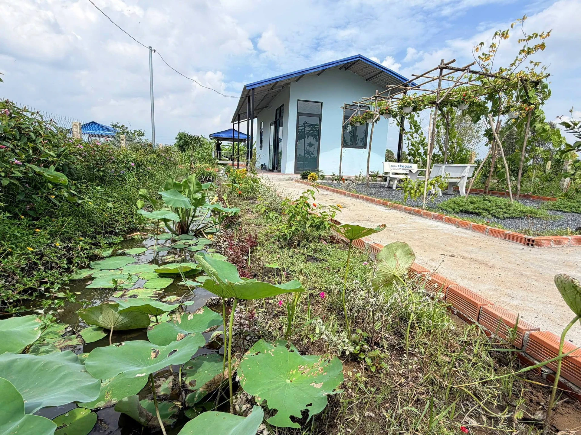 Bán nhà vườn 540m² giá 950 triệu Thủ Thừa, Long An - Ảnh 1
