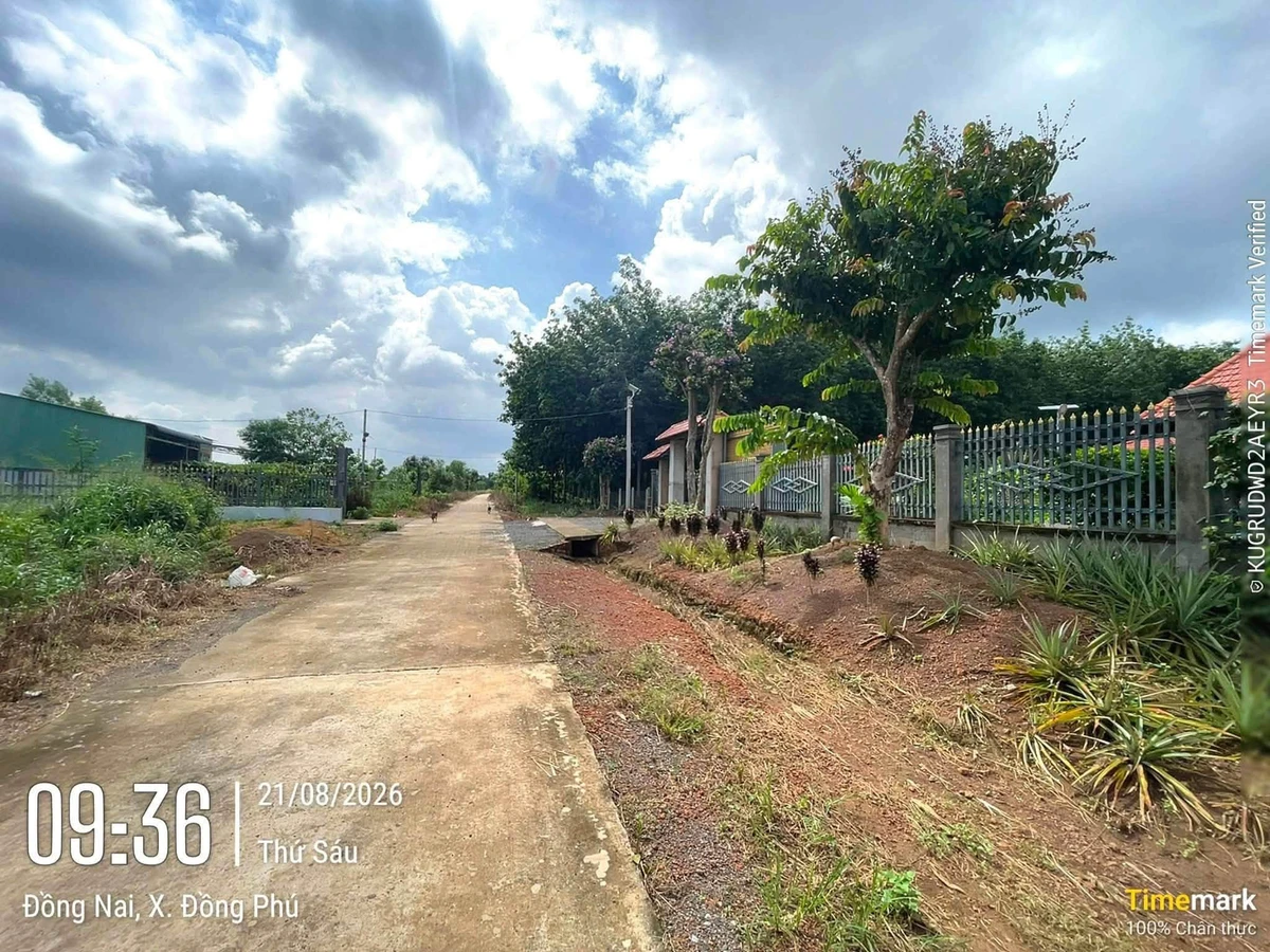 Bán đất nền thổ cư 200m² giá 450 triệu Đồng Phú - Ảnh thu nhỏ 3