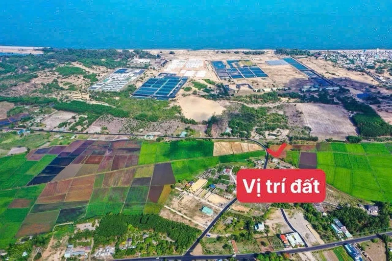 Bán đất 557m2 gần biển Phước Hải 2 tỷ 350