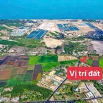 Bán đất 557m2 gần biển Phước Hải 2 tỷ 350 - Ảnh thu nhỏ 1