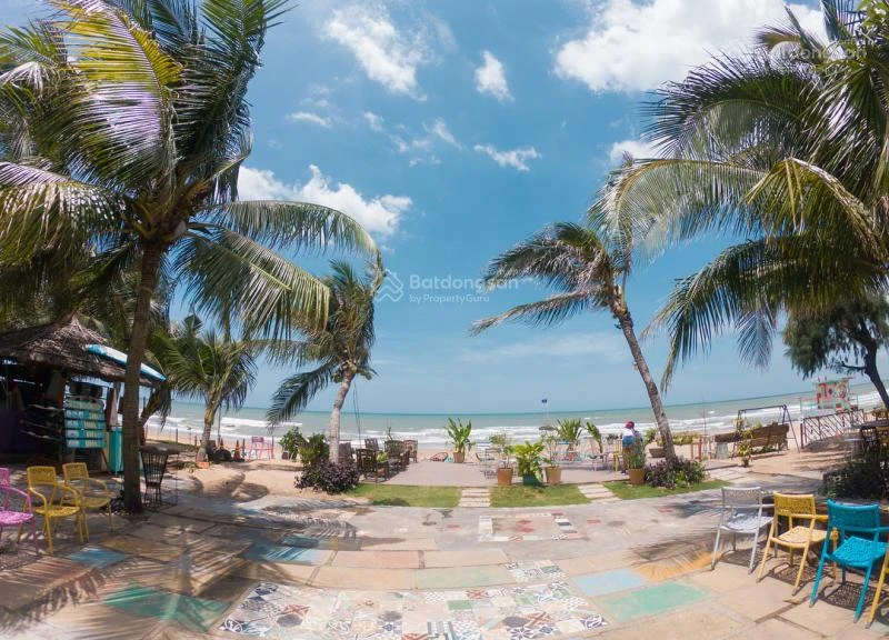 Diện tích lớn 1.4ha, có 500m2 thổ cư, đường ô tô, SHR, tại La Gi, thích hợp làm Homestay, phân lô - Ảnh thu nhỏ 4