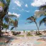 Diện tích lớn 1.4ha, có 500m2 thổ cư, đường ô tô, SHR, tại La Gi, thích hợp làm Homestay, phân lô - Ảnh thu nhỏ 4