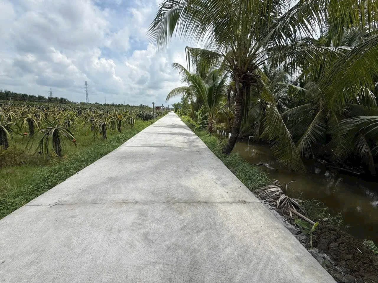 Bán đất thổ cư mặt tiền đường đan 5x35m, sổ hồng riêng, giá 690 triệu tại Vĩnh Công, Tây Ninh - Ảnh 1