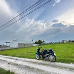 Bán đất 1000m2 Mỹ Hạnh Nam Bình Chánh 3.8 tỷ - Ảnh thu nhỏ 2