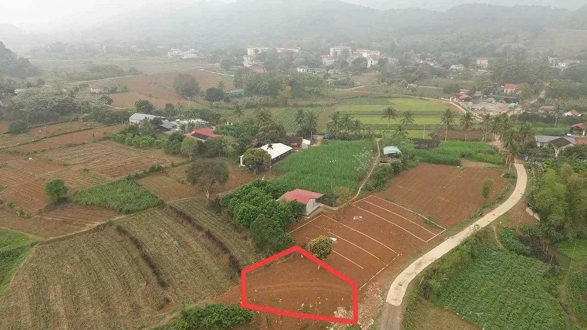Bán đất nền 231,5m² Thạch Bình, Thanh Hóa, giá 60 triệu - Ảnh thu nhỏ 3