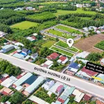 Bán đất 80m² ngay chợ Thạnh Phú, Nhà Bè - Ảnh thu nhỏ 1