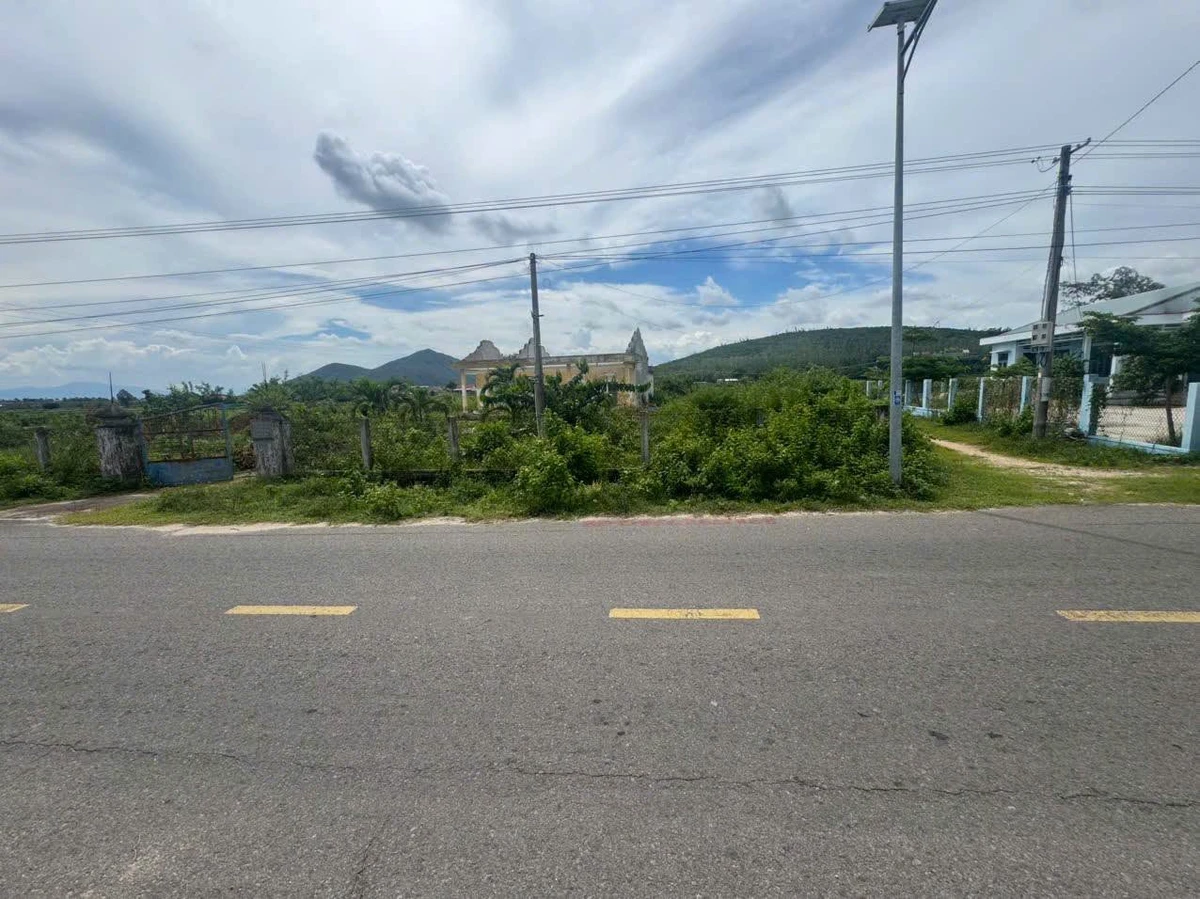 Bán lô đất 227m2 mặt đường nhựa thôn Nhơn Thái, Cát Nhơn giá 595 triệu - Ảnh thu nhỏ 3