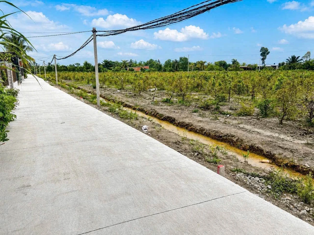 Bán đất nền 550m² Thạnh Lợi Bến Lức Long An 790 triệu - Ảnh thu nhỏ 4