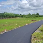 Bán đất Tân Phú 135m² sổ riêng 420 triệu - Ảnh thu nhỏ 3