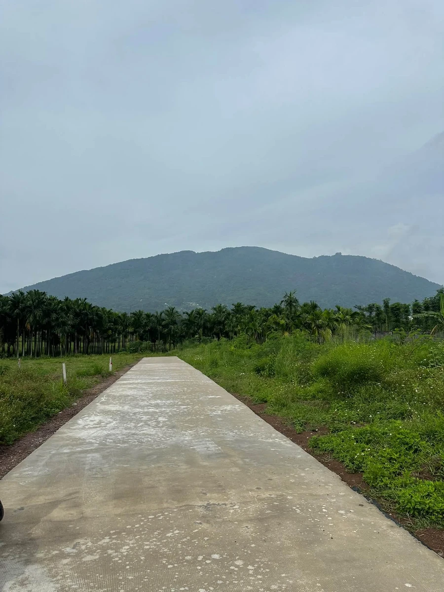 Bán đất thổ cư 5x25m view núi Chứa Chan giá 490 triệu tại Xuân Lộc, Đồng Nai - Ảnh 1