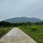 Bán đất thổ cư 5x25m view núi Chứa Chan giá 490 triệu tại Xuân Lộc, Đồng Nai - Ảnh thu nhỏ 1