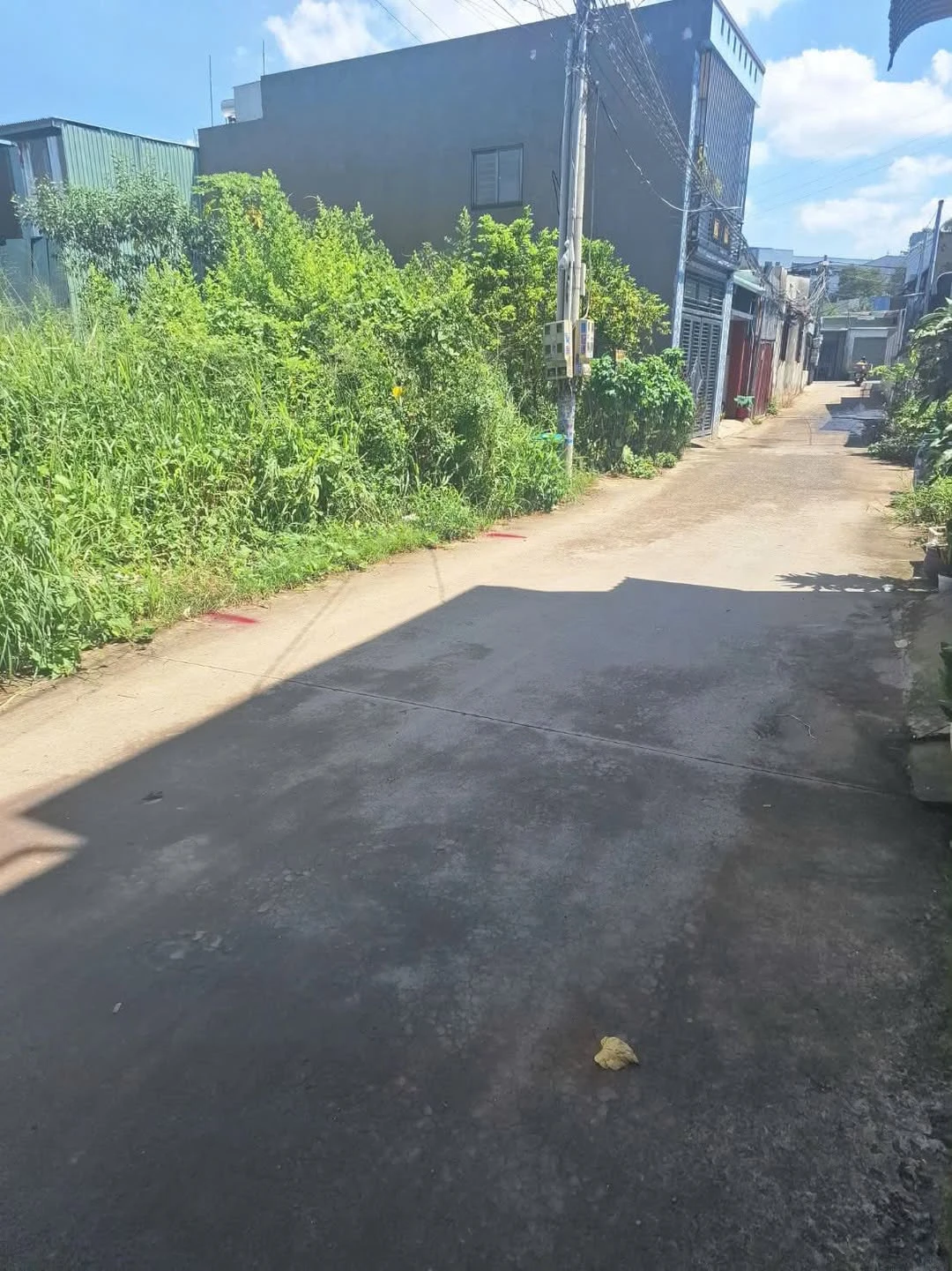 Bán đất mặt tiền 56m² Chợ Điều, Long Bình - 870 triệu - Ảnh 1