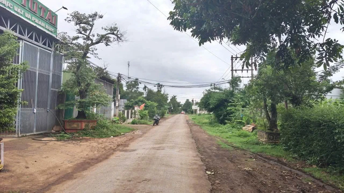Mặt tiền kinh doanh 255m² Nguyễn Xuân Nguyên, Tân An - Ảnh 1